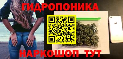 индика Кулебаки