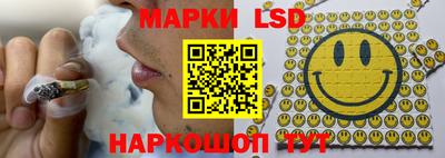 индика Кулебаки