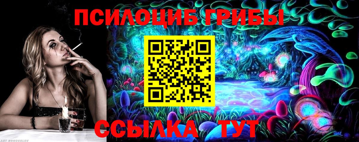 Галлюциногенные грибы GOLDEN TEACHER  Псилоцибиновые грибы Magic Shrooms  Гуково  Вход с VPN 