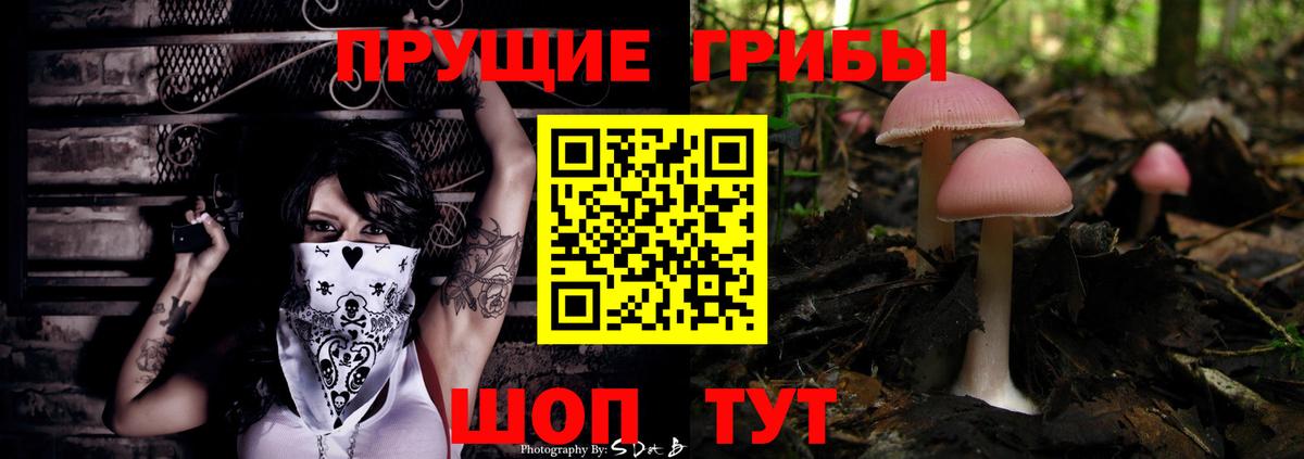 Галлюциногенные грибы Psilocybine cubensis Гуково